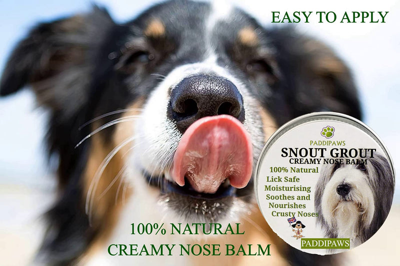 100% Natural Nose Balm for Dogs - A Soothing Dog Nose Balm to Heal Dry, Crusty and Chapped Noses - Also a Paw Balm for Dry and Cracked Paws - Lick Safe - Easy to Apply Dog Nose and Paw Balm - 30ml - PawsPlanet Australia