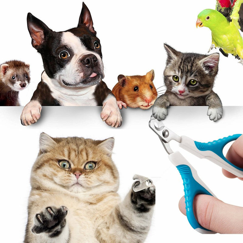UEETEK Cats Nail Clippers Stainless Steel Professional Pet Dog Nail Trimmers for Small animals Puppy Bunny - PawsPlanet Australia