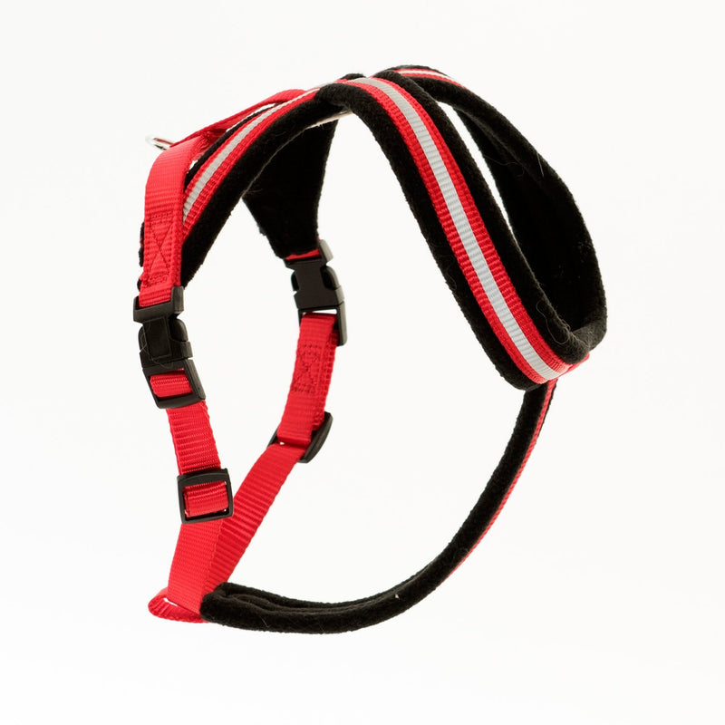 COA Comfy Harness, Toy - PawsPlanet Australia