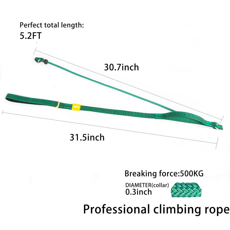 TRICESS Dog Slip Lead Dog Leash,Fine Webbing Training Leash, No Pulling Slip Leash Collar,Heavy Duty&Durable,Padded Handle,Easy-Control for Small,Medium or Large Dogs,5FT (Green, 5FT) Green - PawsPlanet Australia