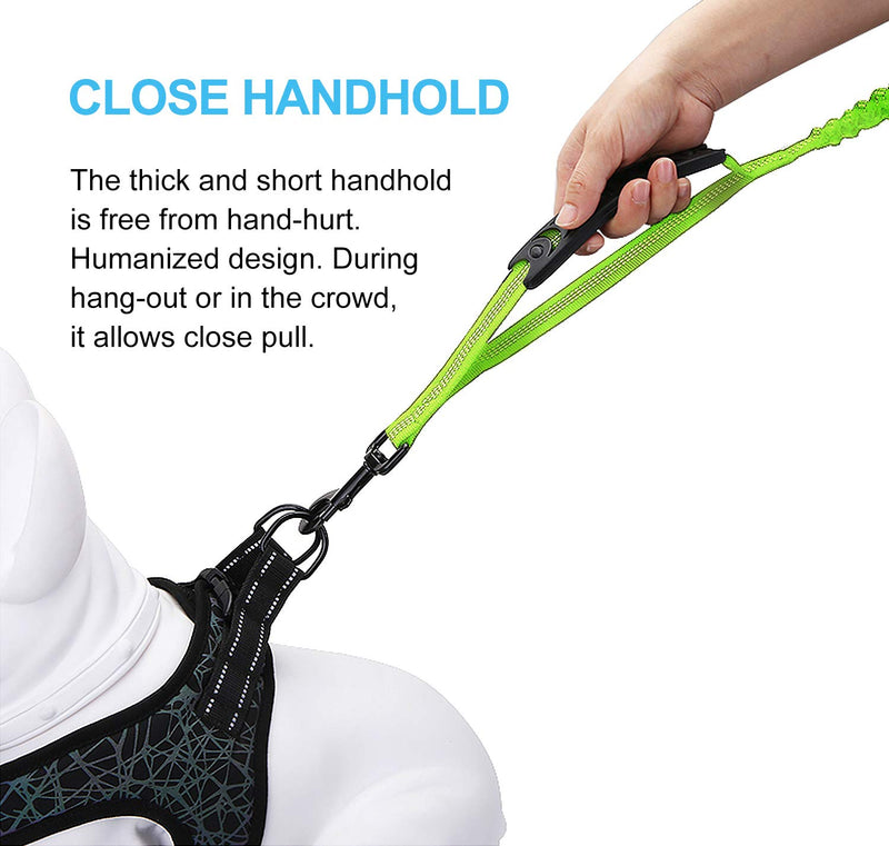 LEADSOM 6FT Highly Reflective Heavy Duty Elastic Bungee Medium and Large Dog Leash Shock Absorbing with Comfortable Padded Handle and Traffic Handle Suitable for Training Green - PawsPlanet Australia