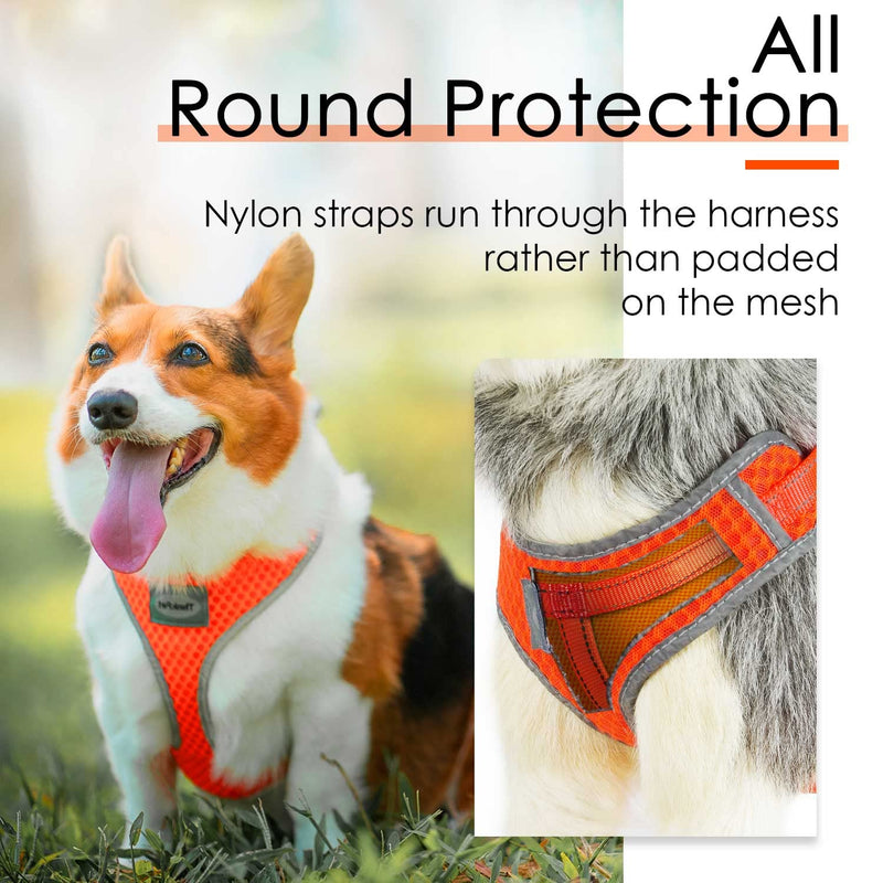 ThinkPet Reflective Breathable Soft Air Mesh No Pull Puppy Choke Free Over Head Vest Ventilation Harness for Puppy Small Medium Dogs and Cats XX-Small (Pack of 1) Neon Orange - PawsPlanet Australia