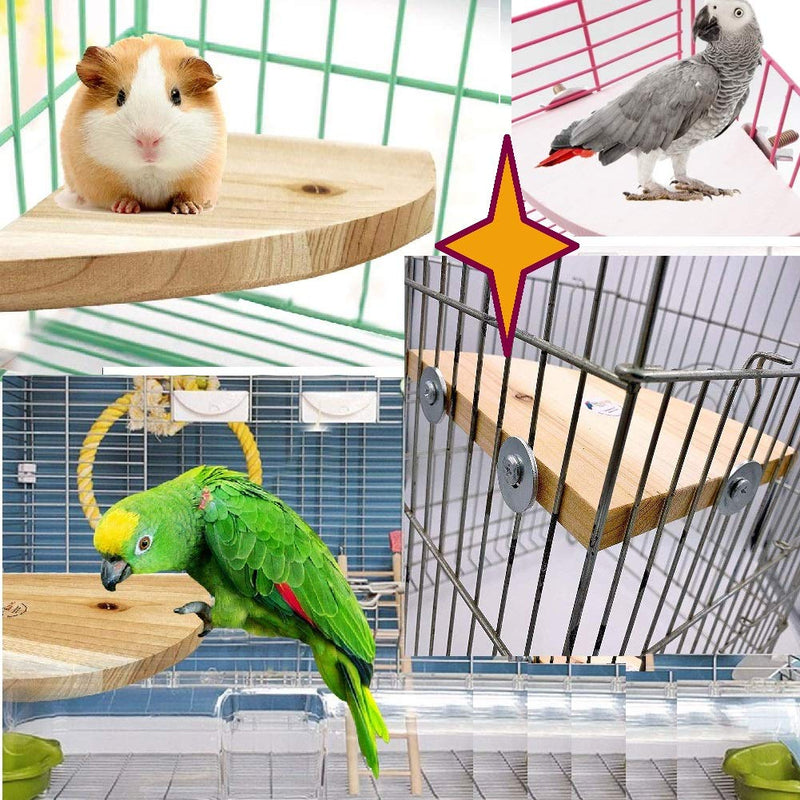 HEEPDD Bird Platform, Wooden Bird Cage Corner Perch Stand Fan Shape Springboard for Small Animals Parrot Hamster Parakeet Conure Cockatiel Budgie Gerbil Rat Mouse - PawsPlanet Australia