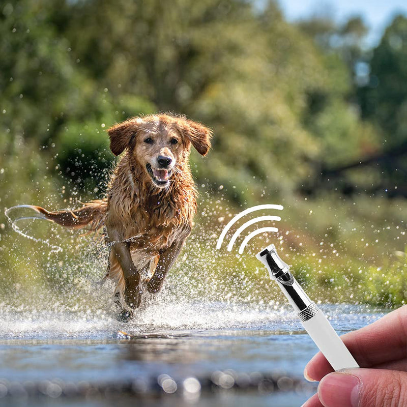 maxin 3 Pcs Dog Training Whistle, Interactive Toys Pet Tool Professional Dogs Whistles with Black Lanyard for Recall Training, Stop Barking - PawsPlanet Australia