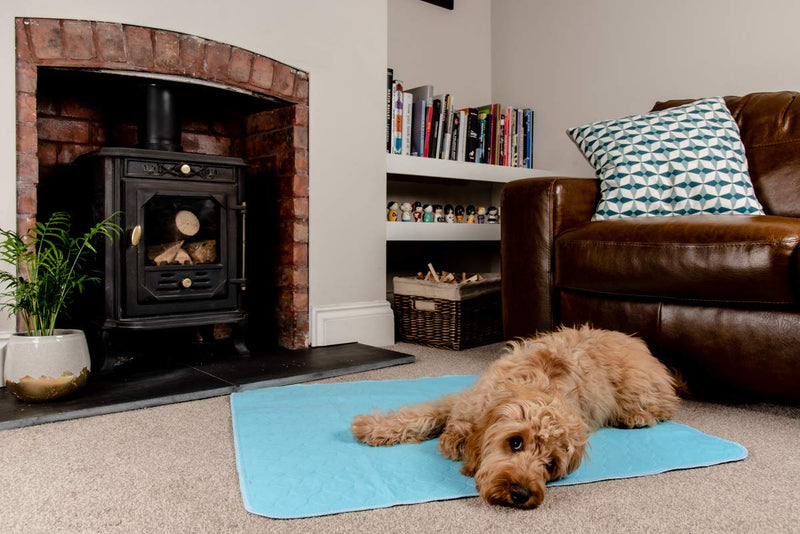 PET IMPACT Reusable Dog Pee Mats, XL Premium Washable Puppy Training Pads, Dog Incontinence Pads, 2-Pad Box EXTRA LARGE (Sky Blue, 35"x32") Sky Blue - PawsPlanet Australia