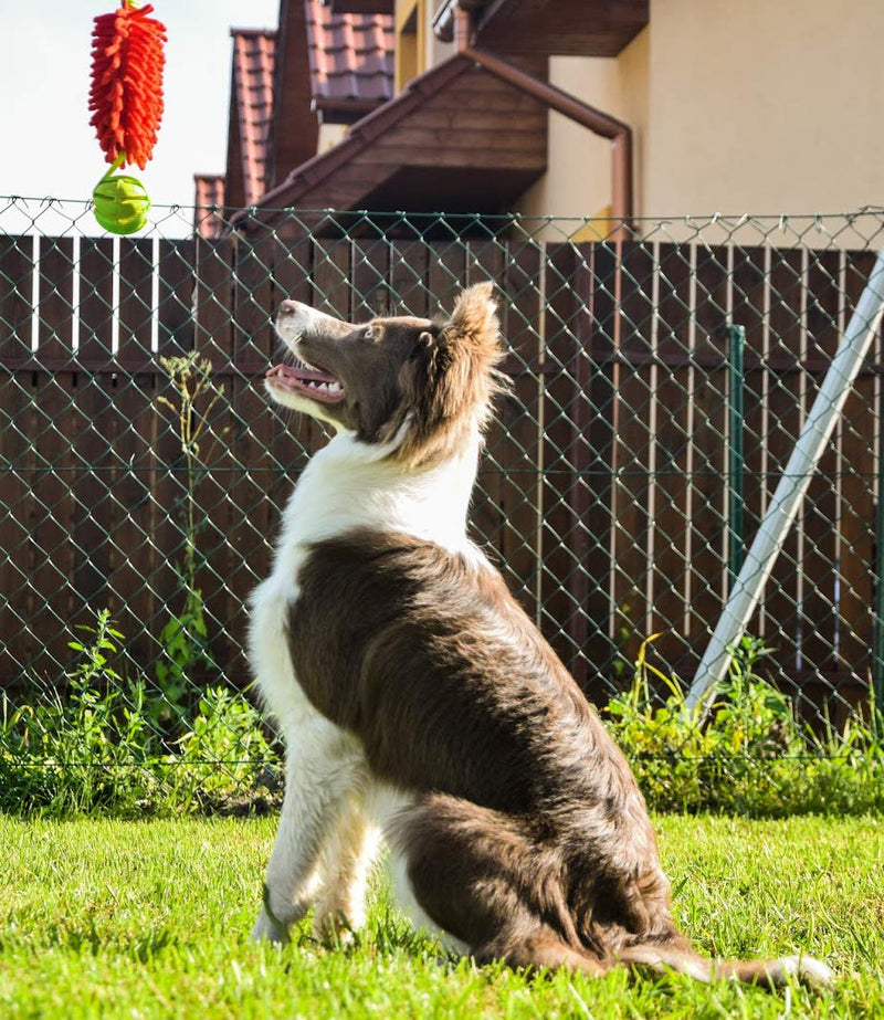 Dingo Agility Mop Bite Tug Floatable Ball Bungee Chaser Red 15588 - PawsPlanet Australia