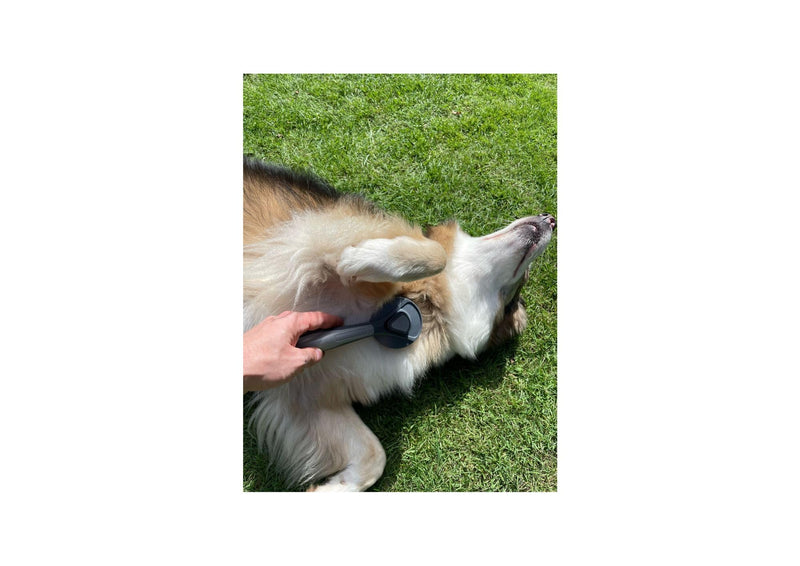 Cat brush, dog brush, pet brush for cats and dogs with short, medium and long hair, self-cleaning at the touch of a button, washable, cat comb, very robust (green) green - PawsPlanet Australia