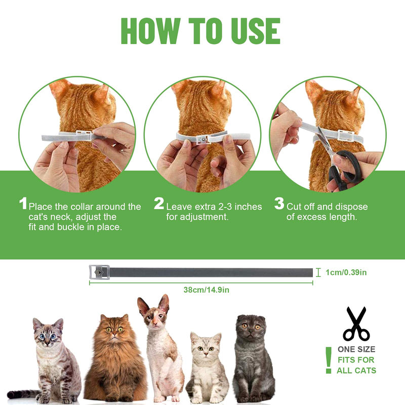 Cat Flea and Tick Collar, 8 Months Effective Protection Waterproof Adjustable Cat Flea Collar Natural Safe Flea Tick Treatment for Kittens Cats Puppies 1 Pack - PawsPlanet Australia