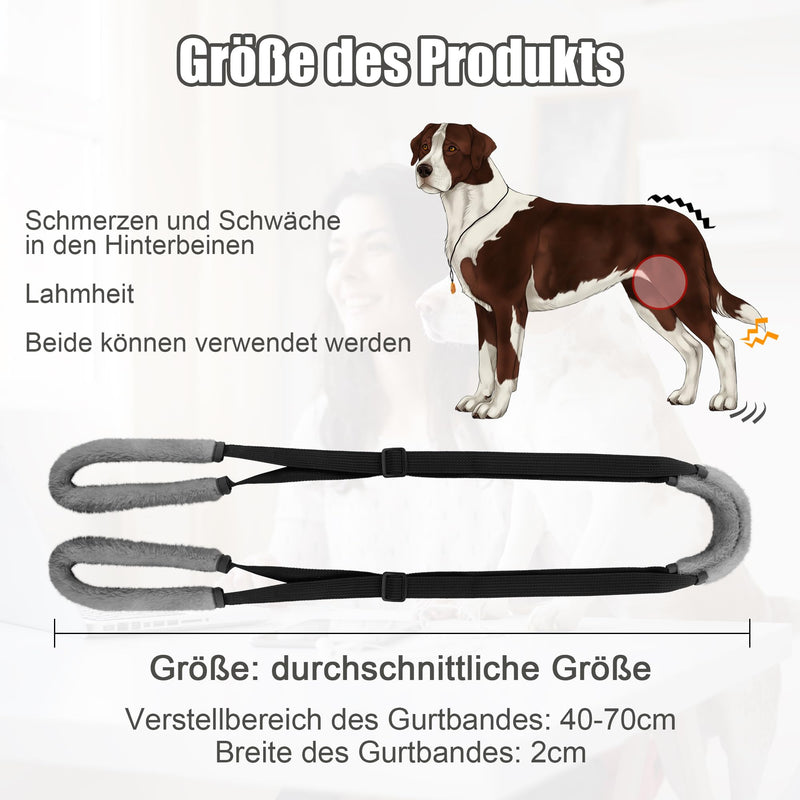 Lollanda walking aid for dogs at the back, carrier for dogs, dog harness for the hind legs, walking aid for dogs to support sick dogs, older dogs, promotes the mobility of the dog (black) black - PawsPlanet Australia