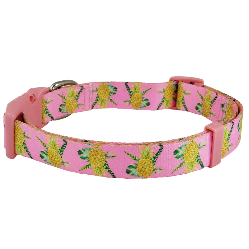 Bestbuddy Pet Medium Neck 15"-22" Durable Nylon Designer Pineapple Pink Trendy Comfortable Adjustable Dog Collar with Buckle BBP001-M 15" to 22" neck, 3/4" wide - PawsPlanet Australia