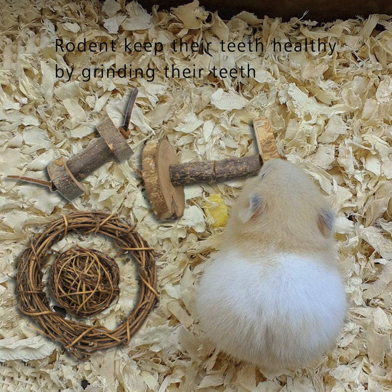 [Australia] - Rieibi Hamster Chew Toys, 6 Pack Natural Wooden Play Toy Teeth Care Molar Toys for Small Animals Rat Gerbils Guinea Pigs Chinchillas Hamster and Squirrels 