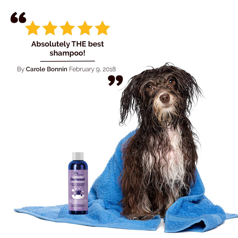 [Australia] - Natural Dog Shampoo with Colloidal Oatmeal - Puppy Shampoo for Dog Bath with Lavender Essential Oil Dog Wash - Pet Odor Eliminator Dog Shampoo for Smelly Dogs and Pet Grooming Itch Relief for Dogs 