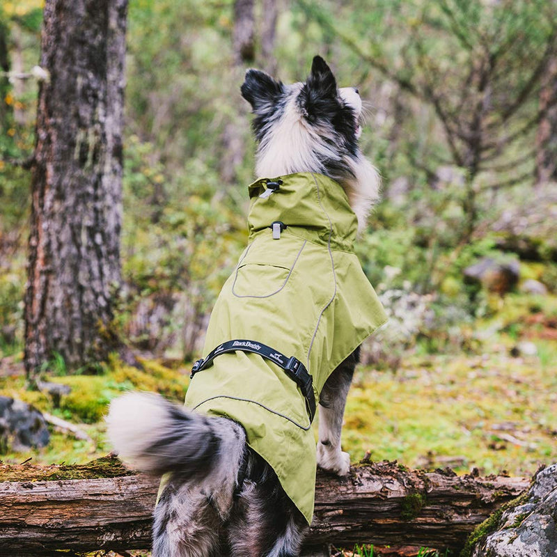 Tellpet Dog Jacket Waterproof Dog Raincoat, Reflective Dog Jacket S(Chest:21.5-25.5",Back Length:14") Green - PawsPlanet Australia