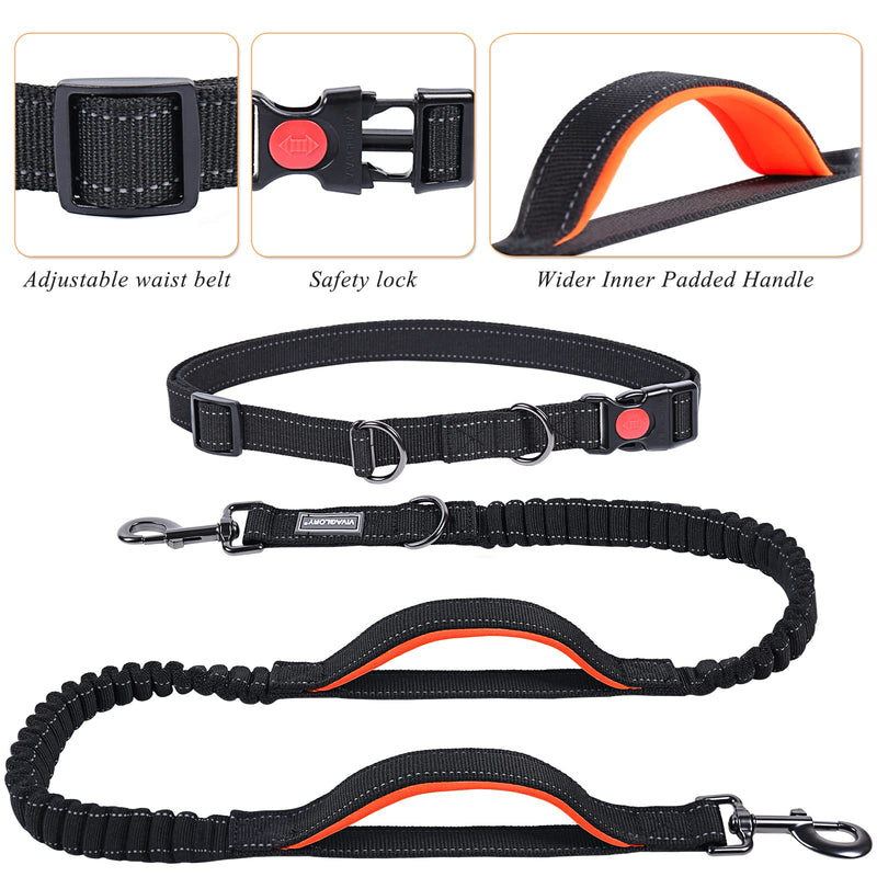 VIVAGLORY Hands Free Dog Lead with Double Upgraded Anti-Shock Bungees and Padded Handles, Reflective Waist Running Lead with Adjustable Belt for Training Jogging for Medium Large Dogs Fits waist from 65-110cm Black/Orange - PawsPlanet Australia