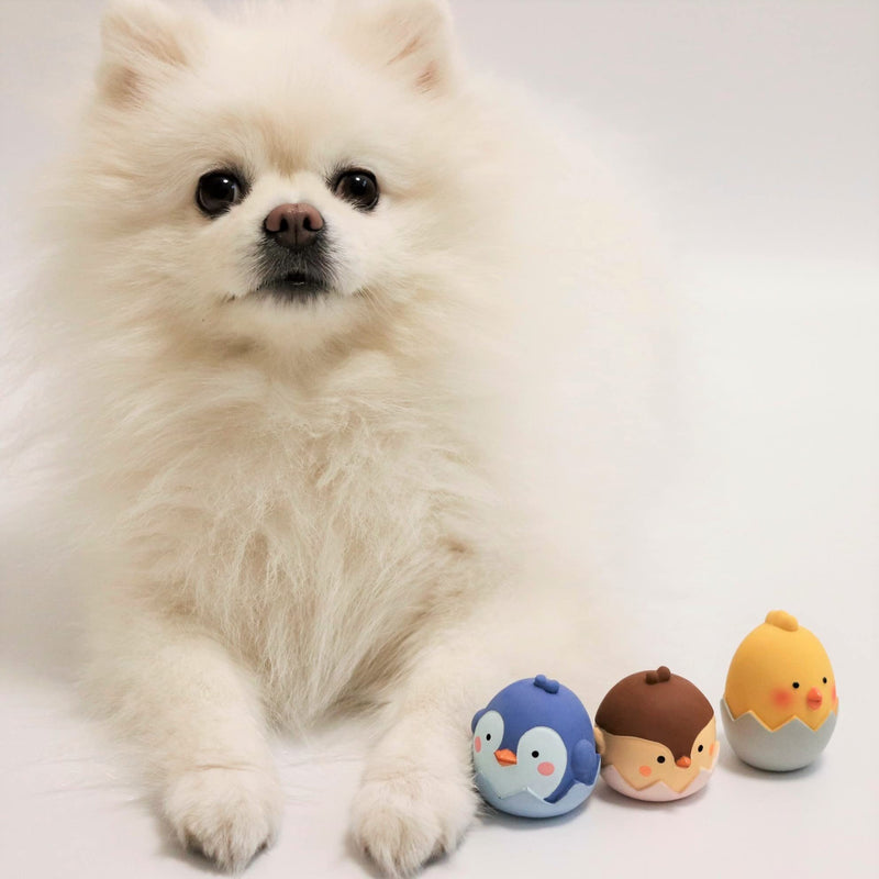 GOSUNY TOYS Egg Latex Dog Toys for Small Dogs ‚Äì Chick, Bird & Penguin Dog Toy, Rubber Squeaky Dog Toys (3-Pack), Mini Soft Latex Dog Toy, Tiny Dog Squeaky Toys - PawsPlanet Australia