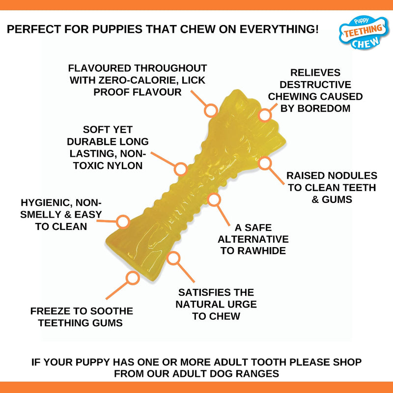 Nylabone Puppy Dog Teething Colour Change Freezer Bone Dog Chew Toy, Lamb & Apple Flavour, Small, for Puppies Up to 11 kg - PawsPlanet Australia