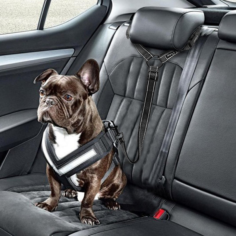 [Australia] - Didog Dog Vehicle Car Harness for Car Travel Walking,Adjustable Dog Leashes Fit Small Medium Large Dogs Black 