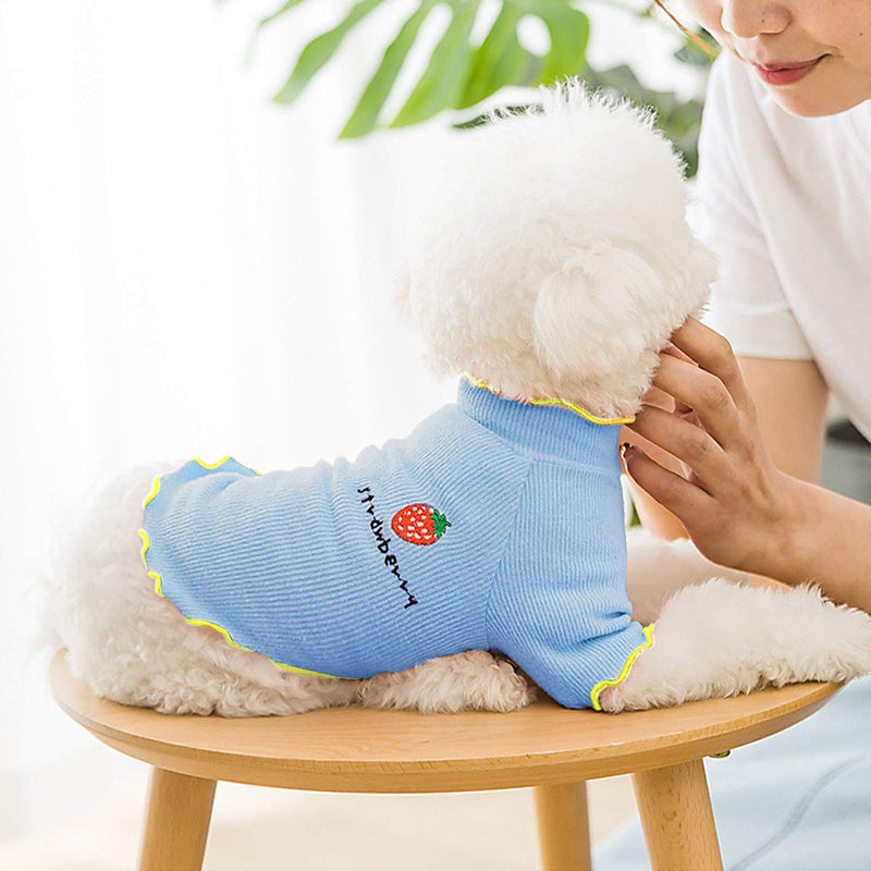 ROZKITCH Cute Dog Shirt, Blue Strawberry Sleeved T-Shirt for Boy Girl Puppy Small Medium Large Cat, Soft Breathable Knitwear Basic Tee Cool Summer Spring Custom Indoor Pet Apparel Top Clothes X-Small - PawsPlanet Australia