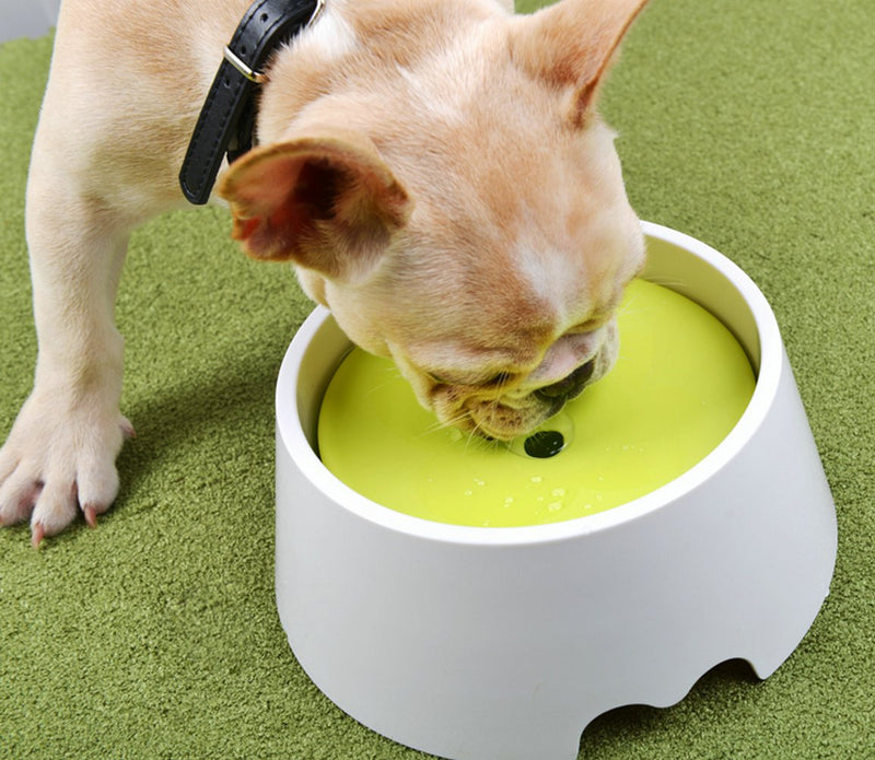 [Australia] - Petvins Dog Water Bowl Pet Slow Feeder 2 in 1 Spill Proof Cat Floated Water Dispenser 1000ml 