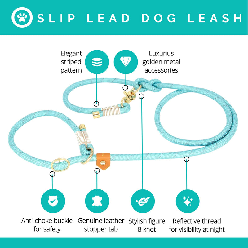 Treewix MOJODOG Anti-Choke Slip Lead Dog Leash - for Medium and Large Breeds - for Walking, Training and Heavy Pullers - Great Gift for Dog Lovers - Reflective 1/2" Climbing Rope 6 ft I Sea Green - PawsPlanet Australia