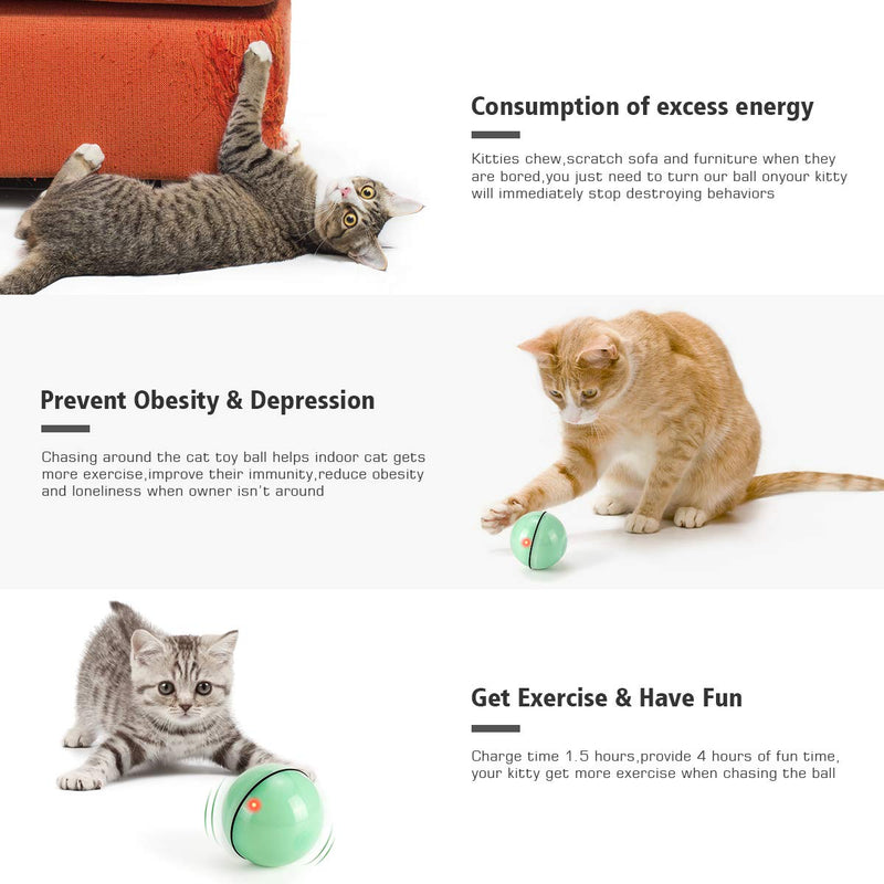 [Australia] - WWVVPET Interactive Cat Toys Ball with LED Light,360 Degree Self Rotating Ball,USB Rechargeable Cat Ball Toy,Stimulate Hunting Instinct Kitten Funny Chaser Roller Pet Toy Green 