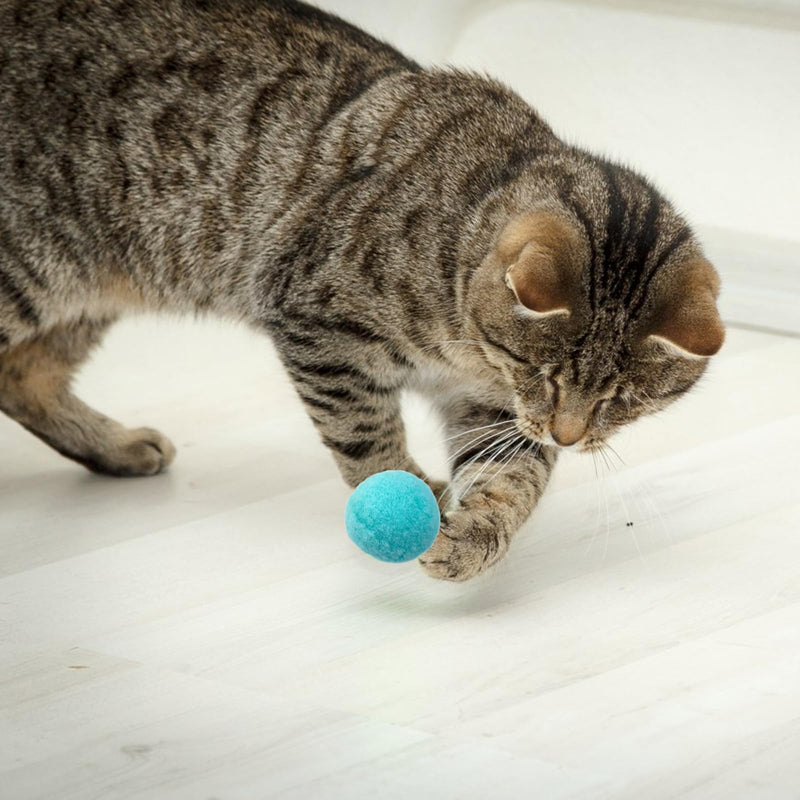 XIWUPO Cat Toy Balls, Felt Balls, Felt Balls Cats, Cat Balls, Cat Balls, Cat Balls, Cat Balls, for Cats and Kittens, Indoor Cats for Catching Chase, Pack of 50 - PawsPlanet Australia