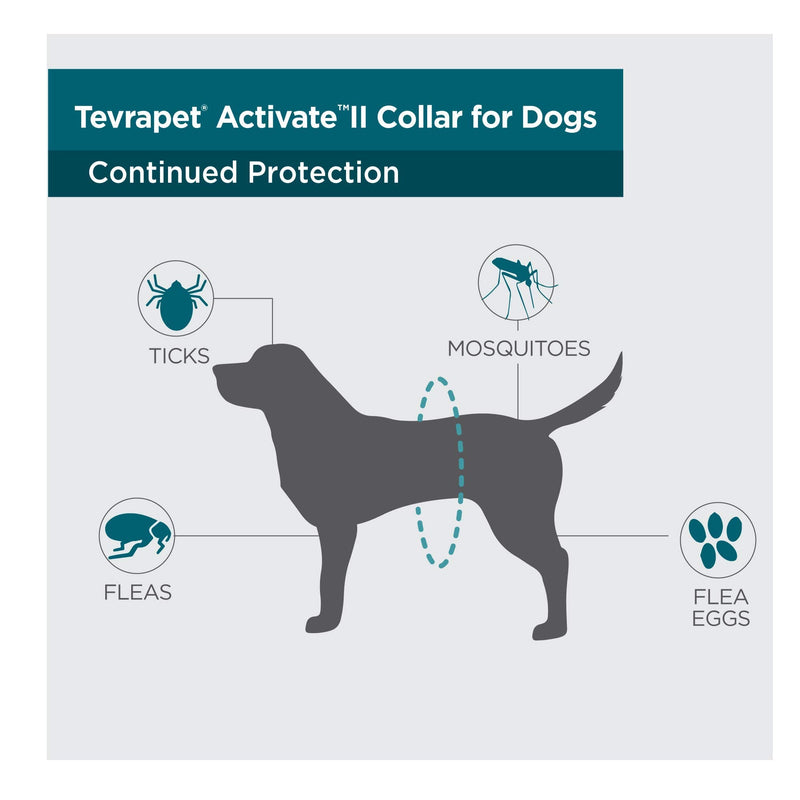 TevraPet Activate II Flea and Tick Collar for Dogs, 12 Months Prevention, 2 Count, One Size Fits All - PawsPlanet Australia