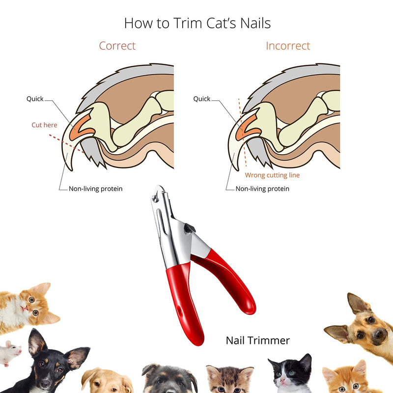 Honoson 2 Pieces Dog Cat Nail Clippers Cat Nail Cutter Dog Nail Clippers Dog Cat Toes Cutter Grooming Tools Pet Claw Trimmer with Stainless Steel Blade for Small Medium Large Breeds Animal Pets - PawsPlanet Australia