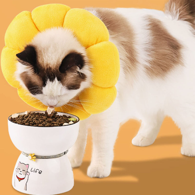 XSQD Neck Collar Cat Collar Soft Cat Protective Collar Anti Bite Safety Adjustable Protective Collar, Recovery After Surgery or Wound, Pets Small Dogs Kittens (M) Yellow M - PawsPlanet Australia