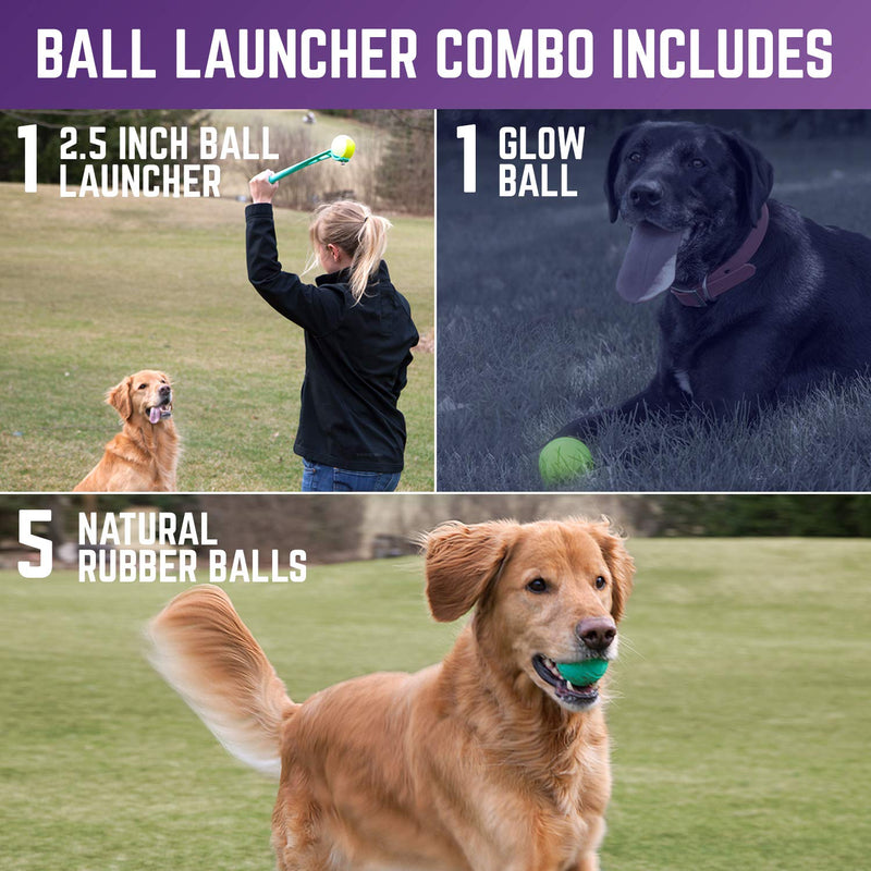 [Australia] - Chew King Fetch Balls Extremely Durable Natural Dog Toy Ball Launcher, Squeaker Floating Fetch Ball,Fetch Toy Collection Ball Launcher - 2.5" Balls 