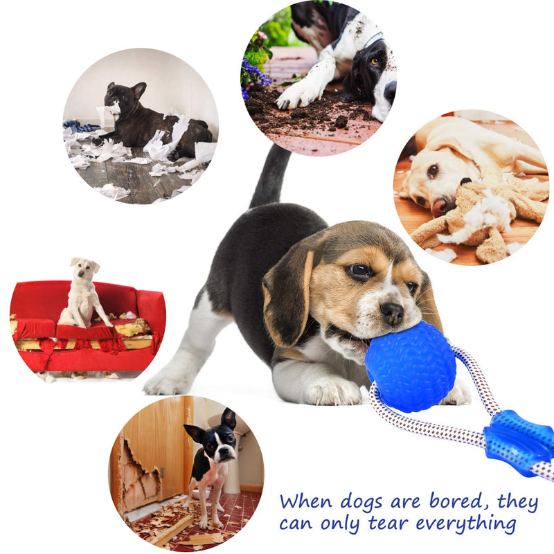 Suction Cup Dog Toy, Multifunction Pet Molar Bite Toy with Strong Rope and Powerful Suction Cup for Tug and Chewing, Helps Clean Teeth - PawsPlanet Australia