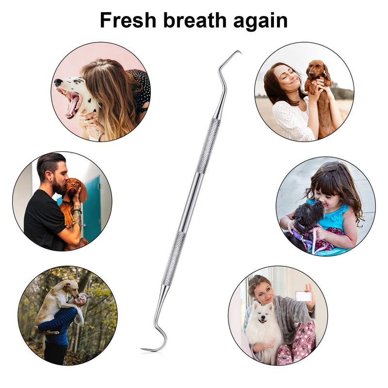 BBTO 6 Pieces Dental Tartar Scraper Tool Double Sided Dental Scraper Stainless Steel Tartar Remover for Pet Teeth Cleaning Stains Remover Tools - PawsPlanet Australia