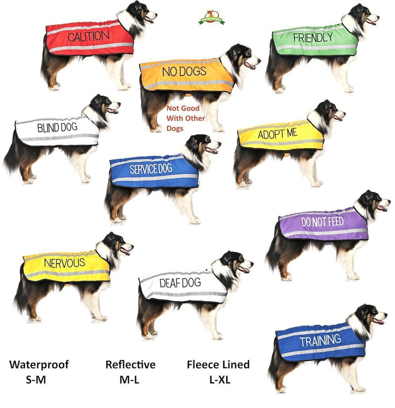 [Australia] - Dexil Limited Service Dog Blue Color Coded S-M L-XL Buckle Dog Collar (Do Not Disturb) Prevents Accidents by Warning Others of Your Dog in Advance L-XL Collar, 15-25"Lx1.25"W 