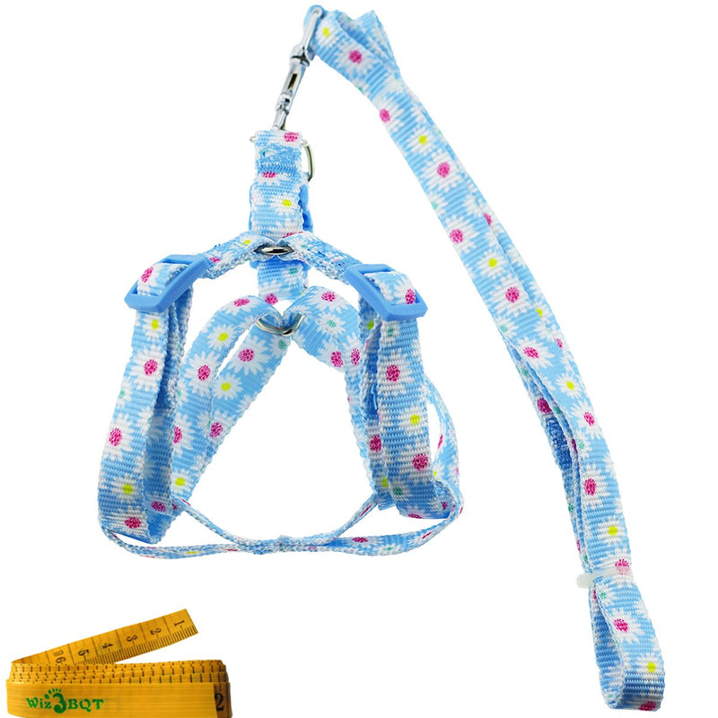 [Australia] - Wiz BBQT Adjustable Breakaway Flower Printed Dog Cat Pet Harness and Leash Set for Dogs Cats Pets Medium Blue 