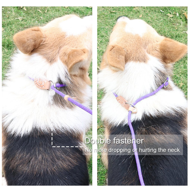 [Australia] - Grand Line Reflective Rope Slip Training Lead Pets Leash for Small, Medium, Large and Extra Heavy Dogs and Cats - 5 Ft Long 1/4 in Diam X 5 ft Long Purple 