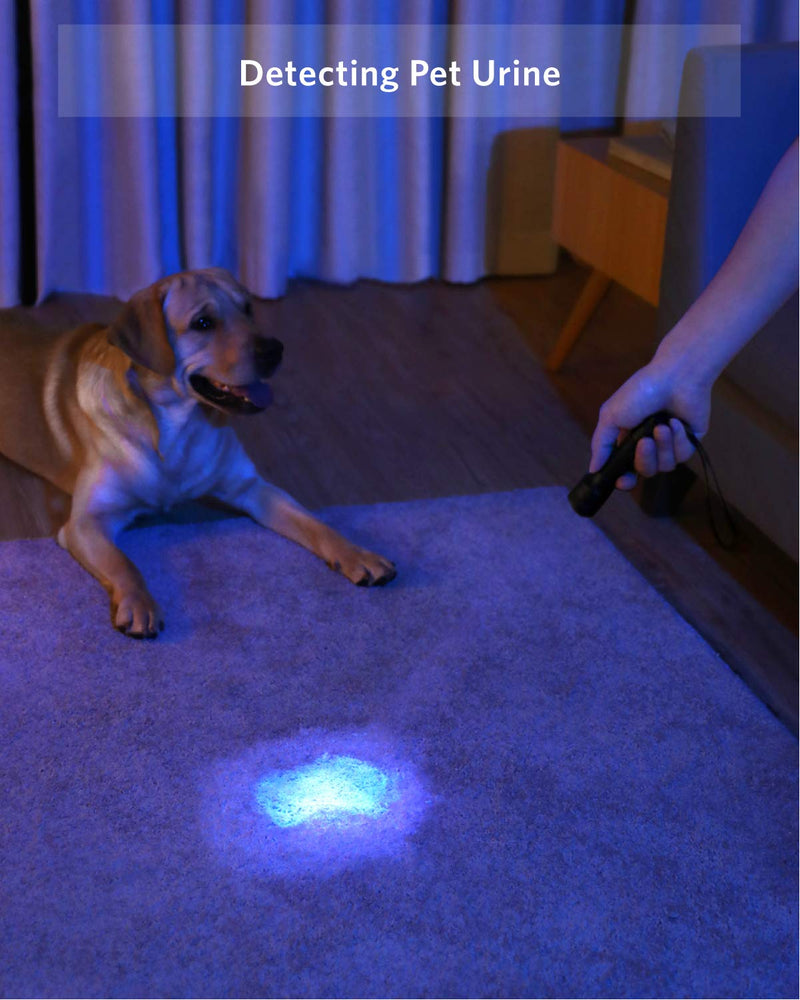 Anker Bolder UV Flashlight Rechargeable, 380nm Ultraviolet Blacklight Detector for Dog Urine, Pet Stains and Fluorescence, Pocket-Size LED Torch, IPX5 Water Resistant, 18650 Battery Included - PawsPlanet Australia
