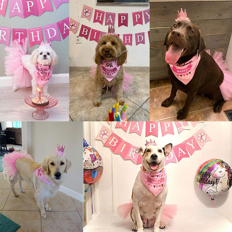 ADOGGYGO Dog Birthday Bandana Girl - Birthday Party Supplies - Pink Tutu Skirt Crown Hat Scarf Happy Birthday Banner Dog Girl Birthday Outfit for Pet Puppy Cat Girl - PawsPlanet Australia