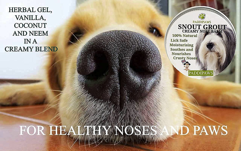 100% Natural Unscented Nose Balm for Dogs - Soothing Dog Nose Balm to Heal Dry, Crusty and Chapped Noses - Also a Paw Balm for Dogs with Dry and Cracked Paws - Lick Safe - Easy to Apply - 30ml - PawsPlanet Australia