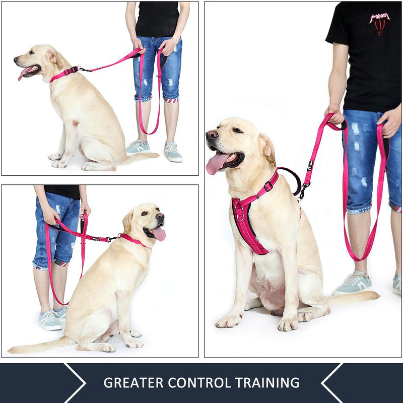[Australia] - Pioneer Petcore Dog Leash 6ft Long,Traffic Padded Two Handle,Heavy Duty,Reflective Double Handles Lead for Control Safety Training,Leashes for Large Dogs or Medium Dogs,Dual Handles Leads Pink 
