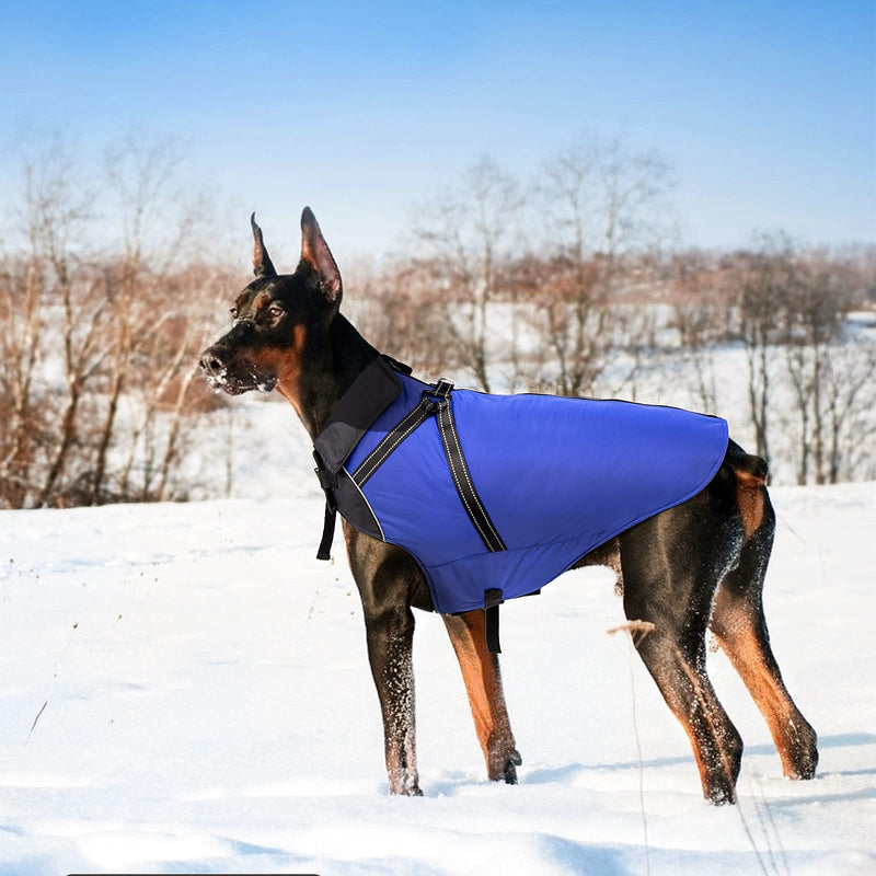 Buddypuppy dog coat winter, warm dog jacket, waterproof with harness for medium and large dogs L - PawsPlanet Australia