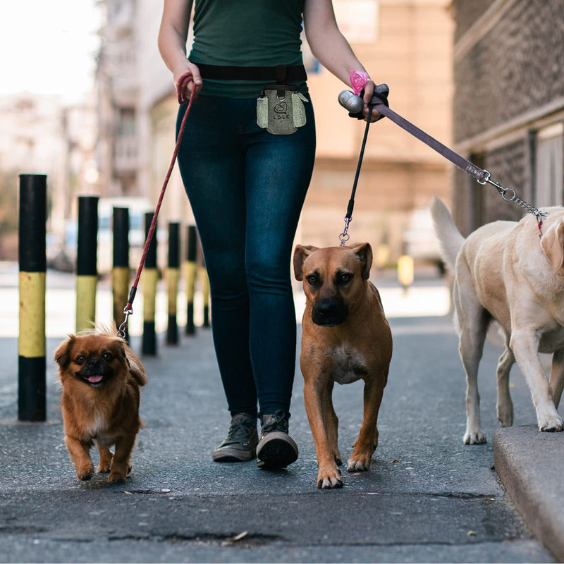 WIFUN Dog Treat Pouch, Dog Training Bag Dog Treat Bag Puppy Training Bag with Adjustable Waistband, Belt Clip, Pick-up Bag Dispenser light grey - PawsPlanet Australia