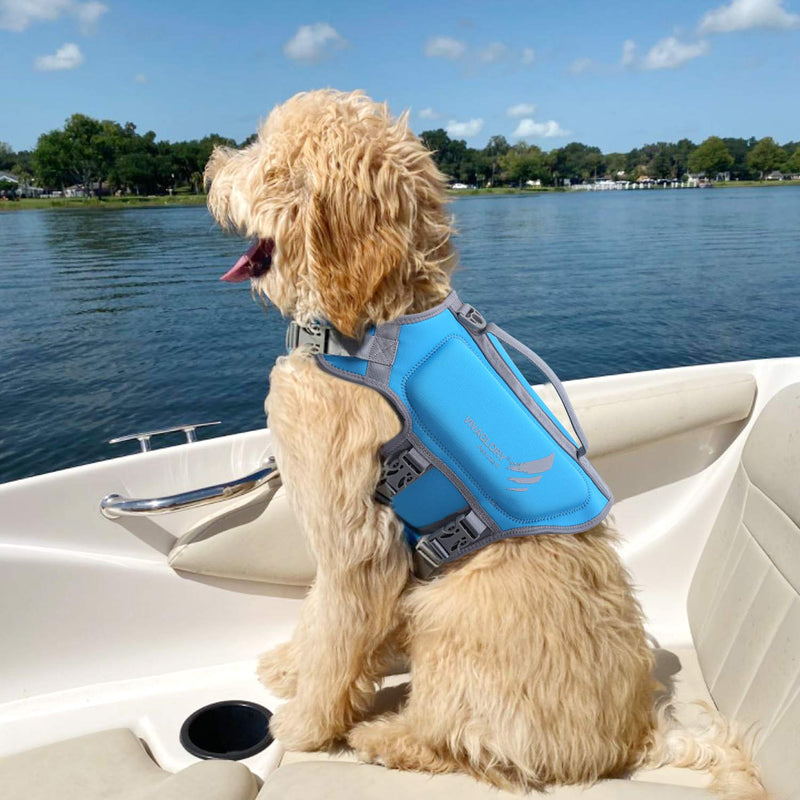 Vivaglory Neoprene Puppy Life Jacket with Superior Buoyancy and Rescue Handle, Skin-Friendly & Durable, Blue, X-Small XS (Pack of 1) - PawsPlanet Australia