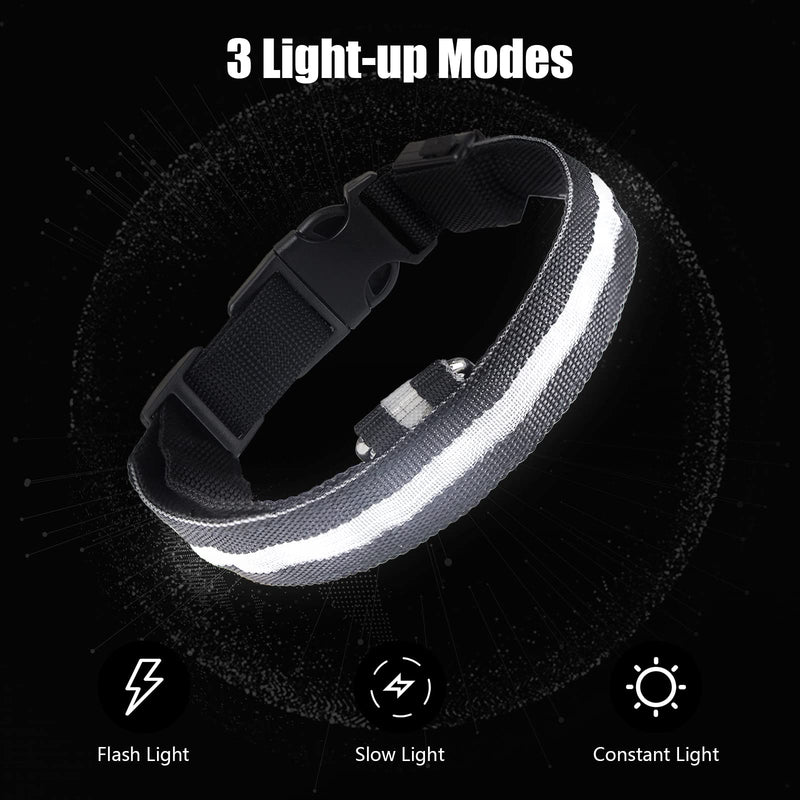 Muasegow LED Dog Collar，USB Rechargeable Dog Lights for Night Walking，Light up Dog Collars，Weatherproof，Adjustable for Puppies Medium Dogs Large Dogs，Include Light-Up Dog Leash S Black - PawsPlanet Australia