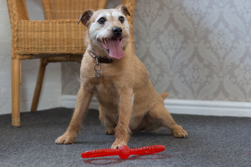 Gor Pets Flex Tough Tug Dog Chew Toy Super Resistant 27 cm - PawsPlanet Australia