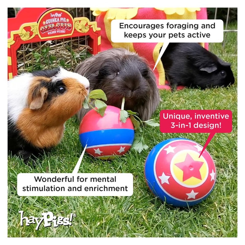 HAYPIGS Treat Ball Variation 1. Treat Ball - PawsPlanet Australia