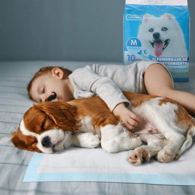 Nobleza - 100 x Ultra Absorbent Puppy Training Pads Dog Toilet Pee Mat, 60 * 60cm, 10 x 10 Packs L60*W60cm White&amp;Blue - PawsPlanet Australia