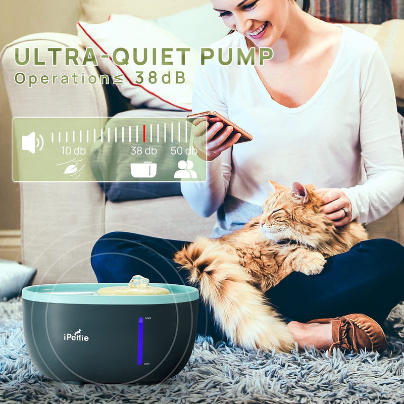 iPettie Avocado Pet Water Fountain with LED Light, 67oz/2.0L, Ultra Quiet Cat Water Fountain with Filter, Automatic Pet Water Fountain for Cats and Small Dogs, Blue Blue (with Adapter) - PawsPlanet Australia