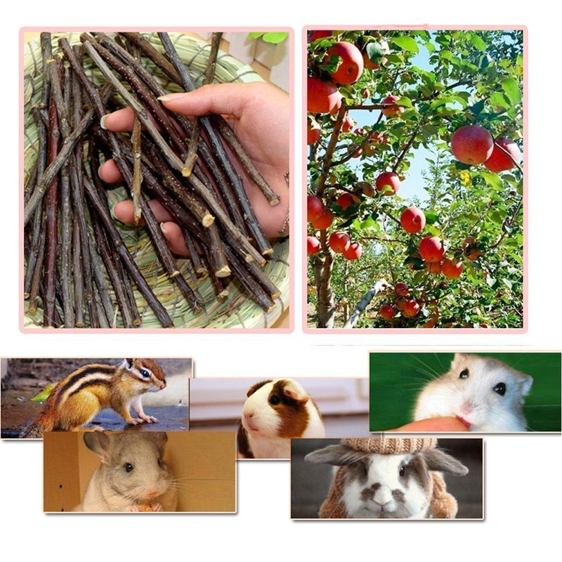 MAOM 100g/200g/300g Nature Apple Sticks Pet Food Wood Chew Toys for Guinea Pigs Chinchilla Rabbits Hamster - PawsPlanet Australia