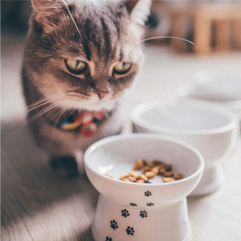 [Australia] - Necoichi Raised Cat Food Bowl, Cat, 0.294999999999998 kg 