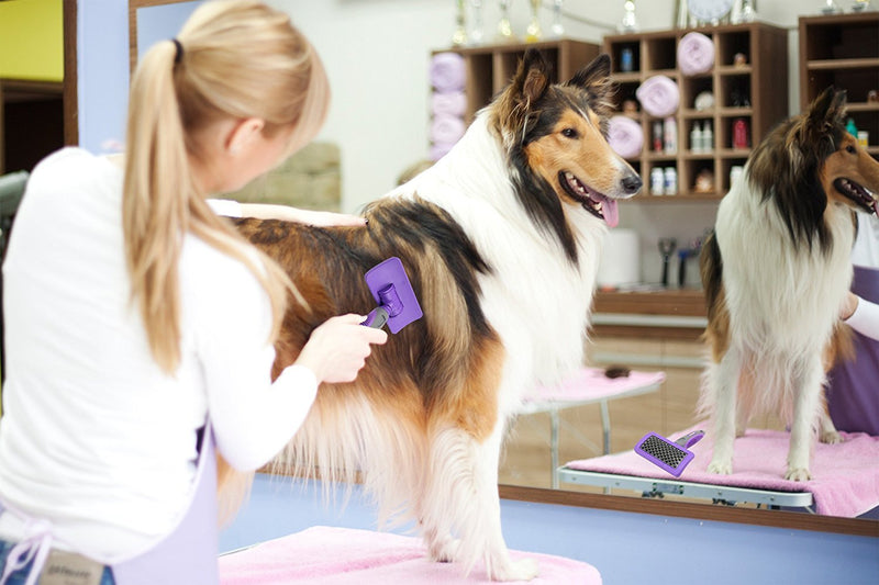 [Australia] - Hertzko Pet Brush Dog Cat Grooming Deshedding Comb for Bathing, Shampooing and Massaging Dogs and Cats with Short or Long Hair - Soft Rubber Bristles Removes Loose & Shed Fur from Your Pet’s Coat 